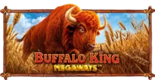 ภาพเกม Buffalo King Megaways ที่ mcd999 รวบรวมไว้